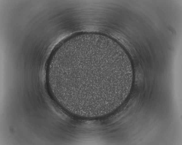 X0000114440584200911061705