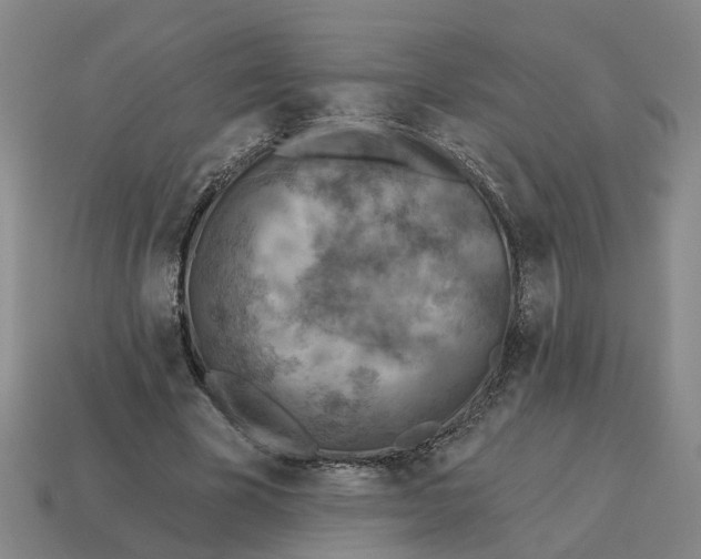 X0000114440585200911061705