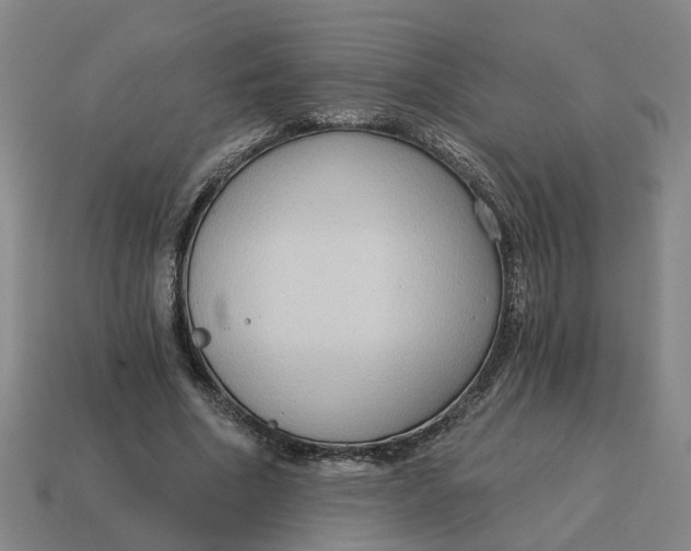 X0000114440586200911061705