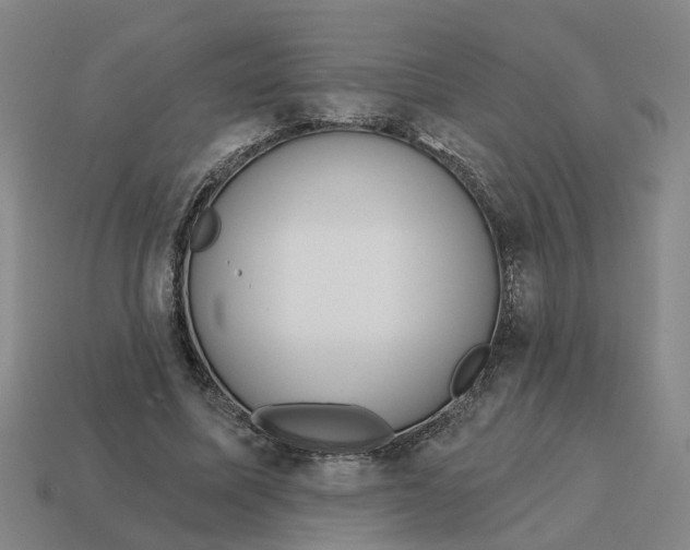 X0000114440587200911061705