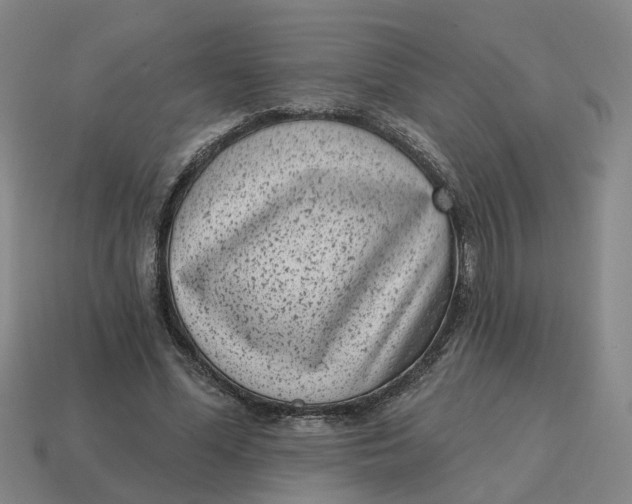 X0000114440588200911061705