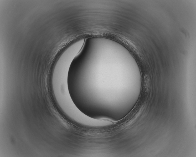 X0000114440589200911061705