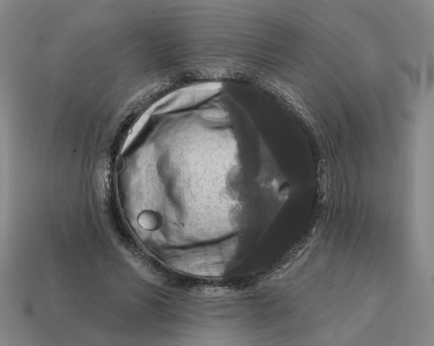 X0000114440590200911061705