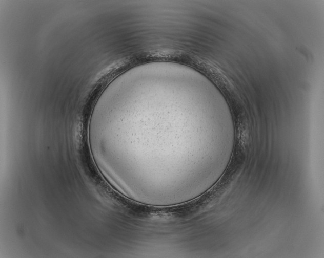 X0000114440591200911061705