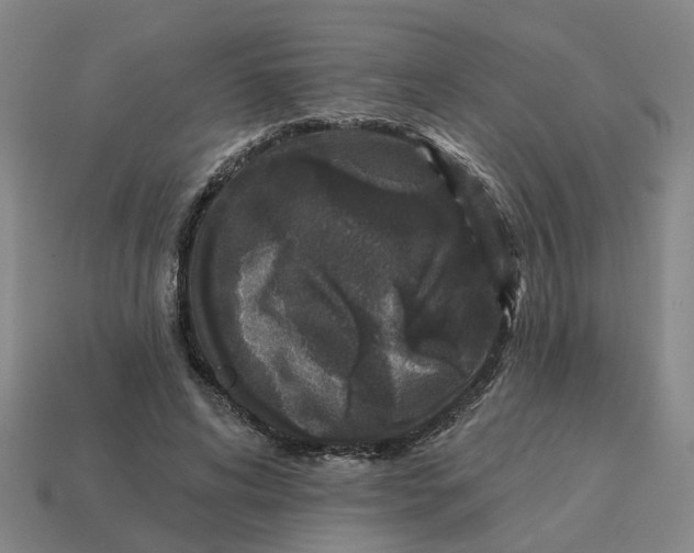 X0000114440592200911061705