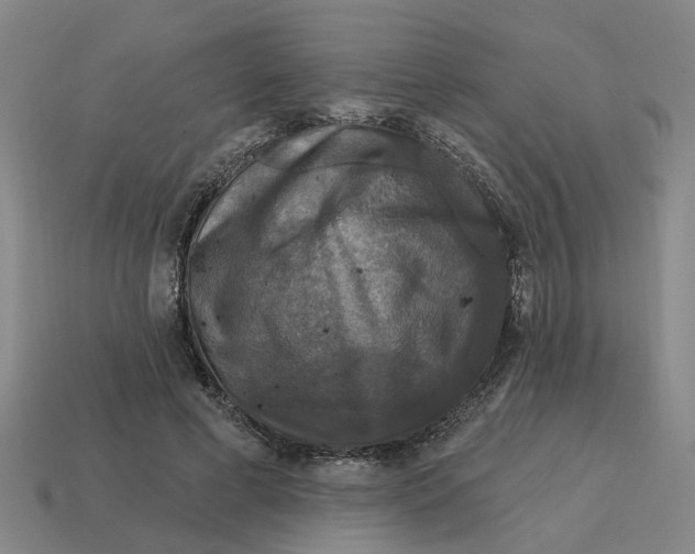 X0000114440593200911061705