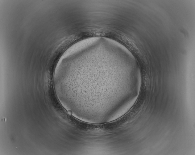 X0000114440594200911061705