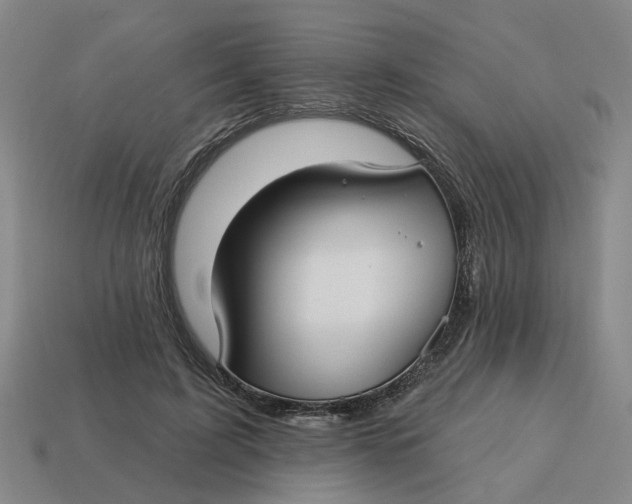 X0000114440595200911061705