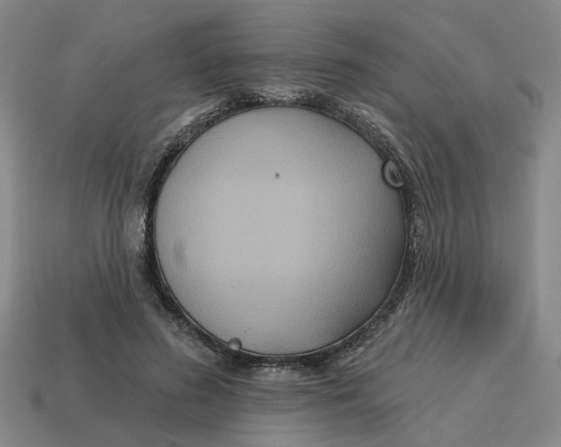 X0000114440596200911061705