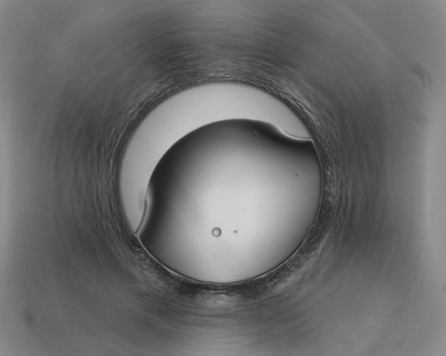 X0000114440597200911061705