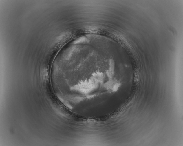 X0000114440598200911061705