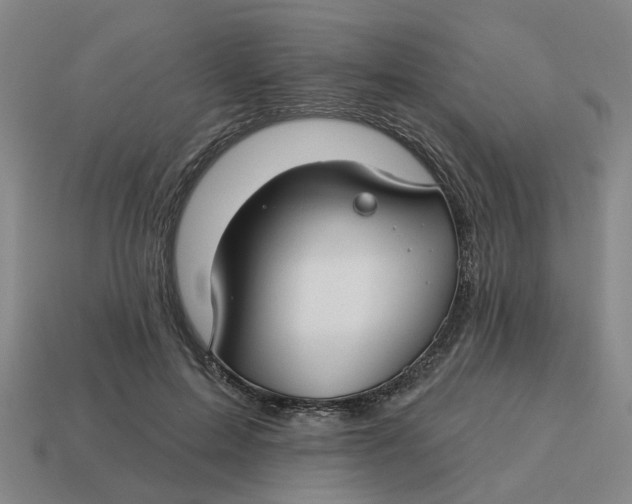 X0000114440599200911061705