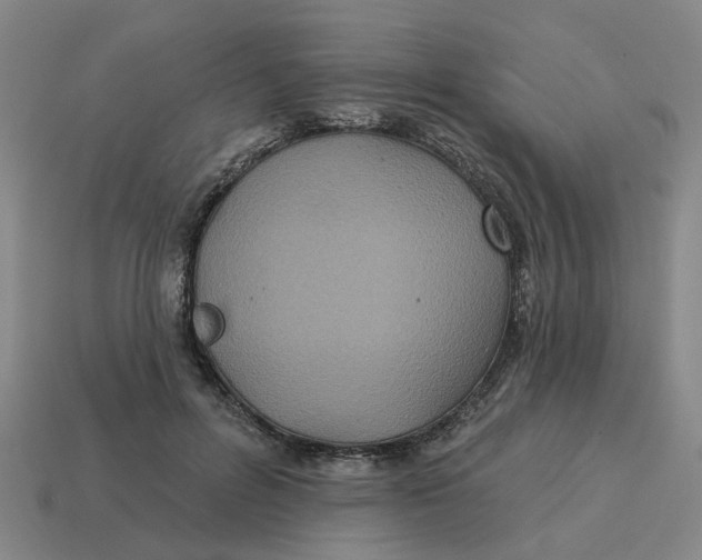 X0000114440600200911061705