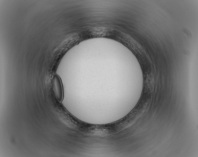 X0000114440601200911061705