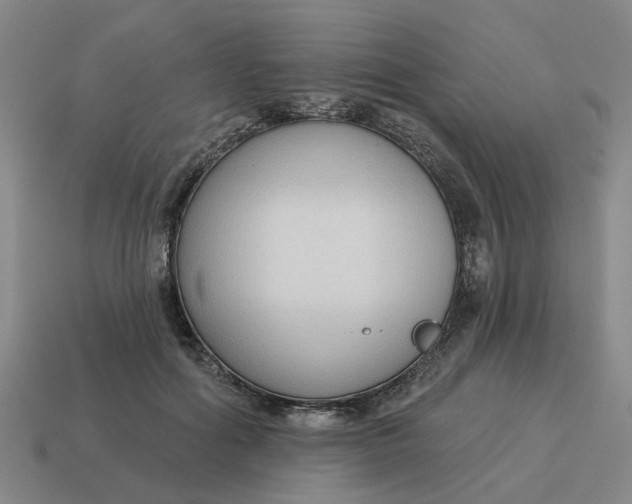 X0000114440602200911061705