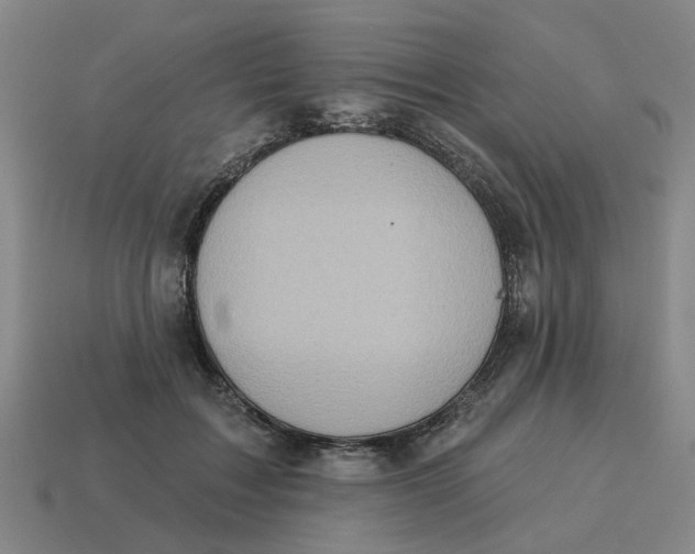 X0000114440603200911061705