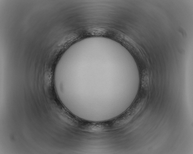 X0000114440604200911061705