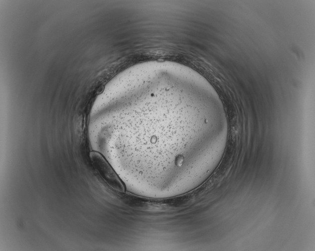 X0000114440605200911061705