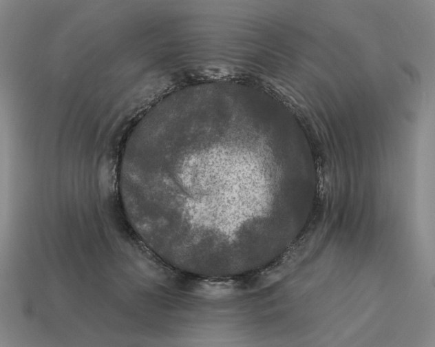 X0000114440606200911061705