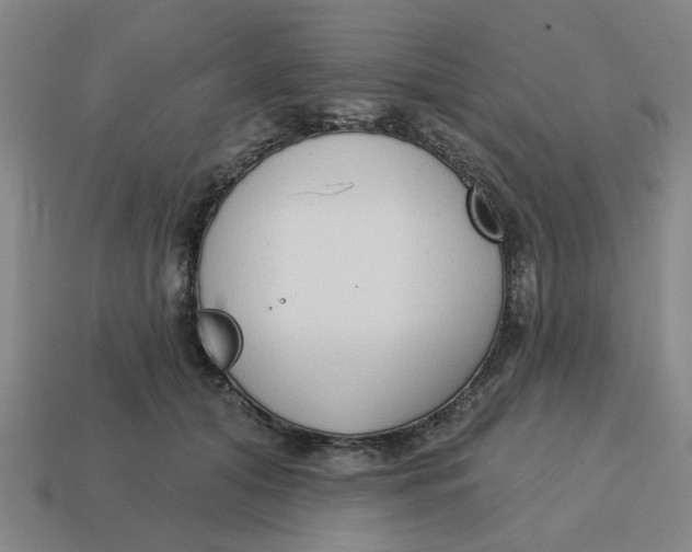 X0000114440608200911061705