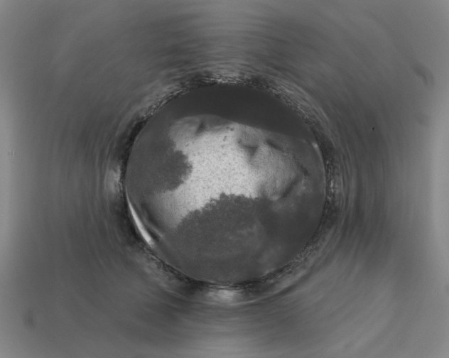 X0000114440610200911061705