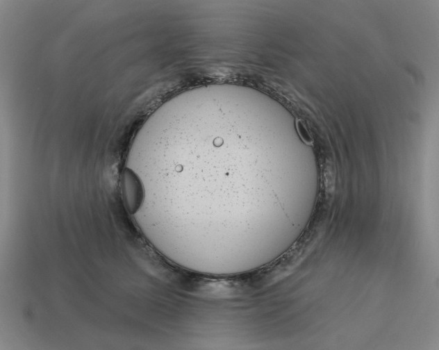 X0000114440611200911061705