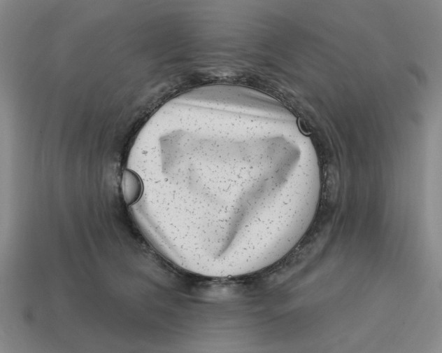 X0000114440612200911061705