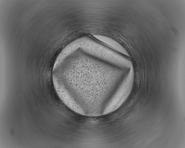 X0000114440613200911061705