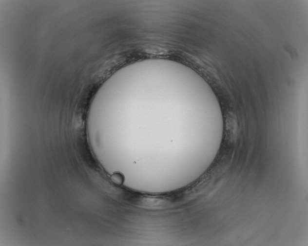 X0000114440614200911061705