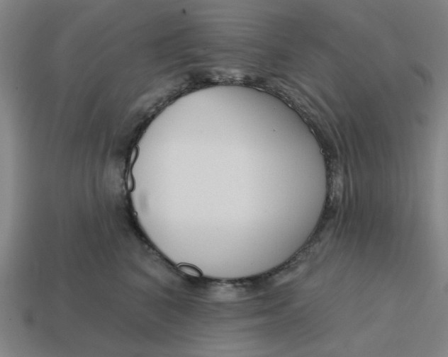 X0000114440616200911061705