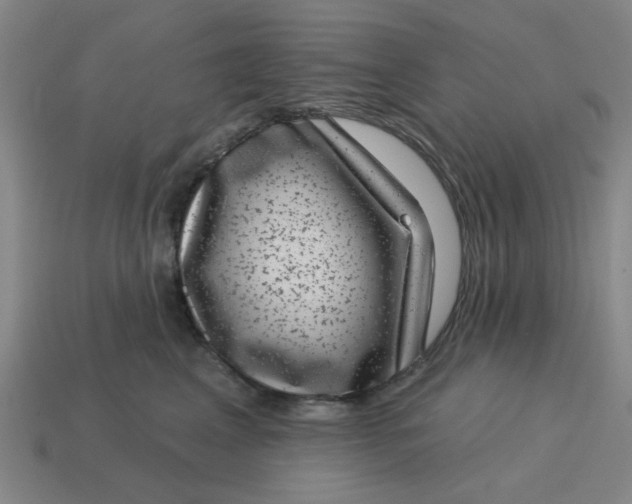 X0000114440617200911061705