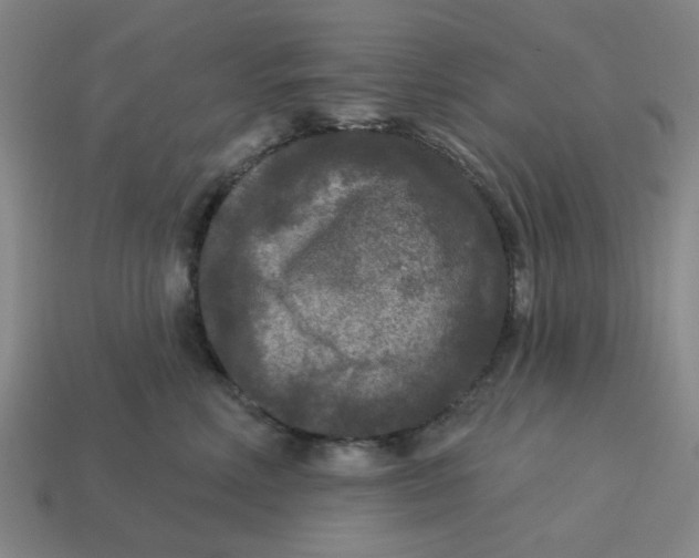 X0000114440618200911061705