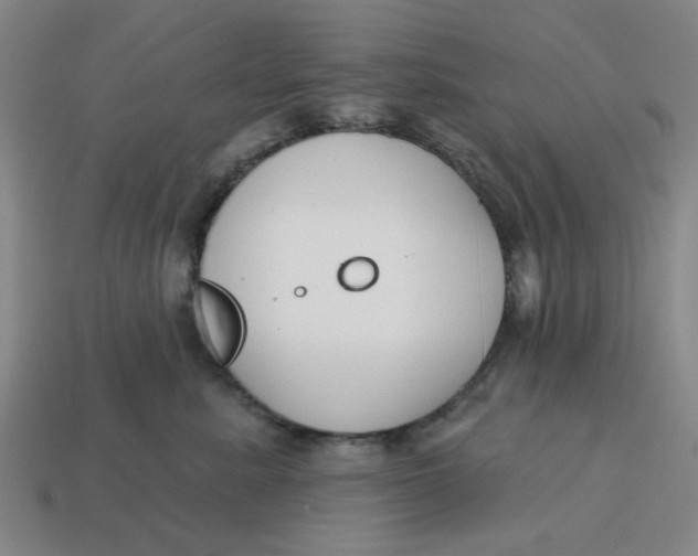 X0000114440619200911061705