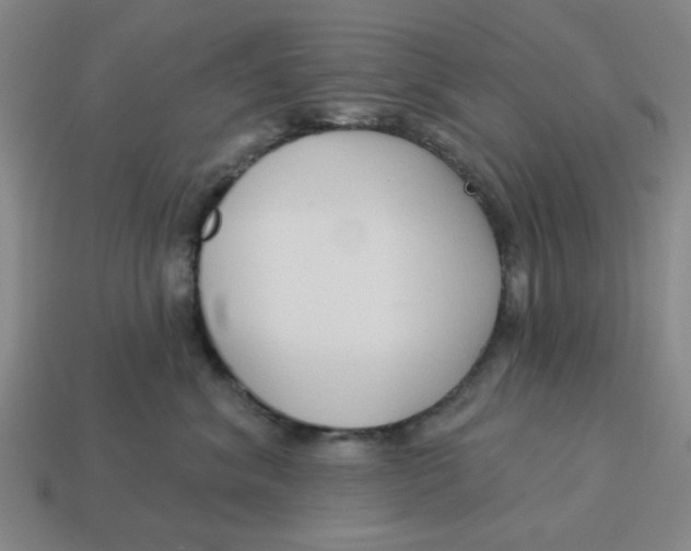 X0000114440620200911061705