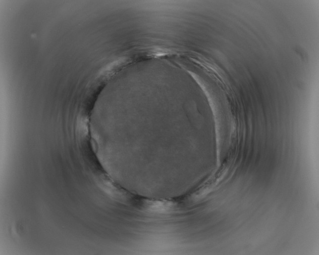 X0000114440621200911061705