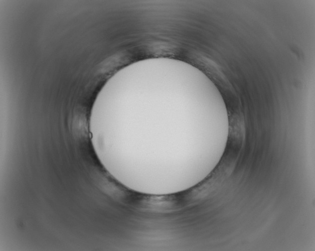 X0000114440622200911061705