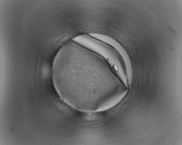 X0000114440623200911061705