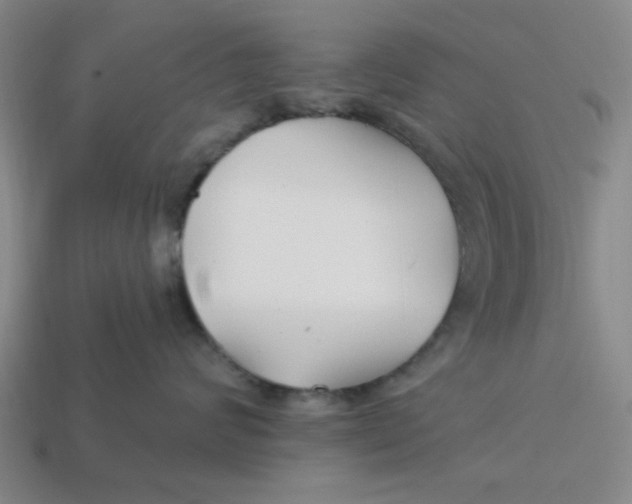 X0000114440624200911061705