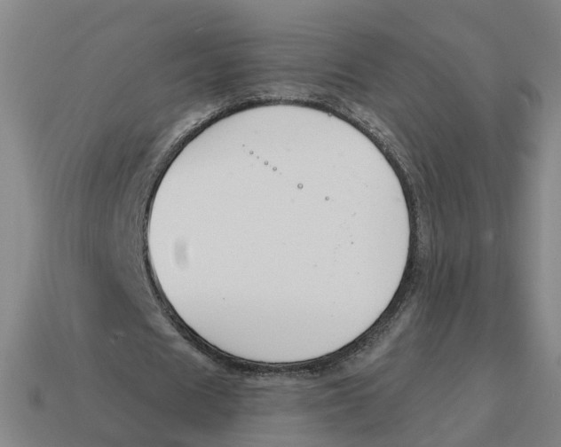 X0000114440625200911061704