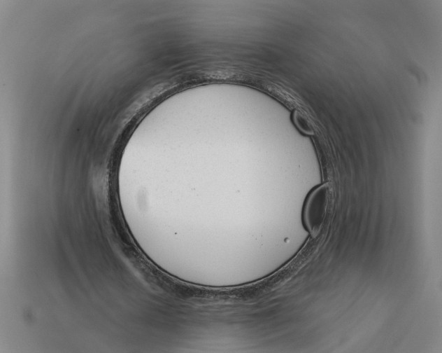 X0000114440626200911061704