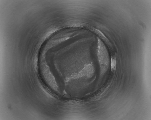 X0000114440627200911061704