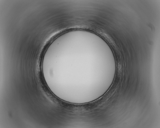 X0000114440628200911061704