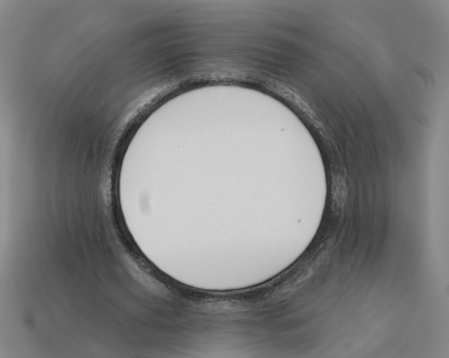 X0000114440629200911061704