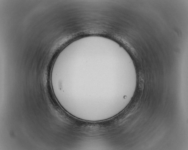 X0000114440631200911061704