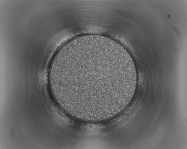 X0000114440632200911061704