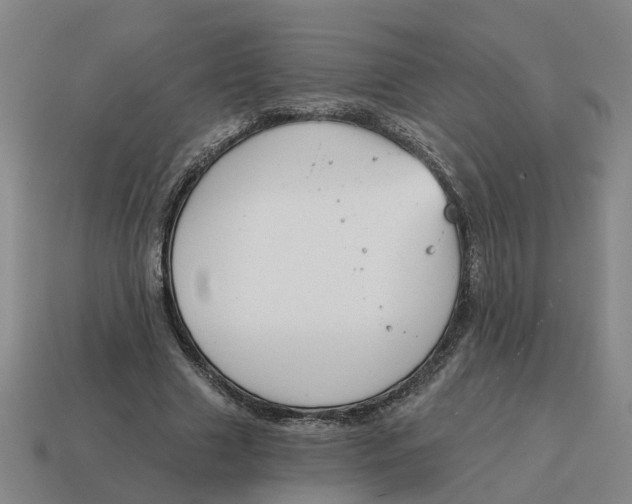 X0000114440633200911061704