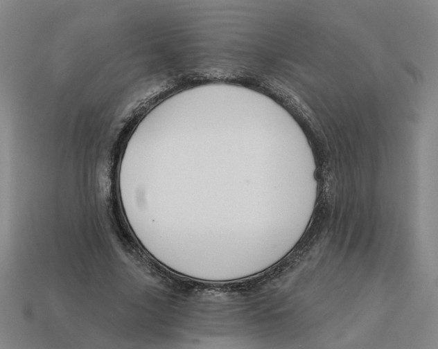 X0000114440635200911061704