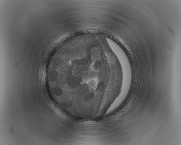 X0000114440637200911061704