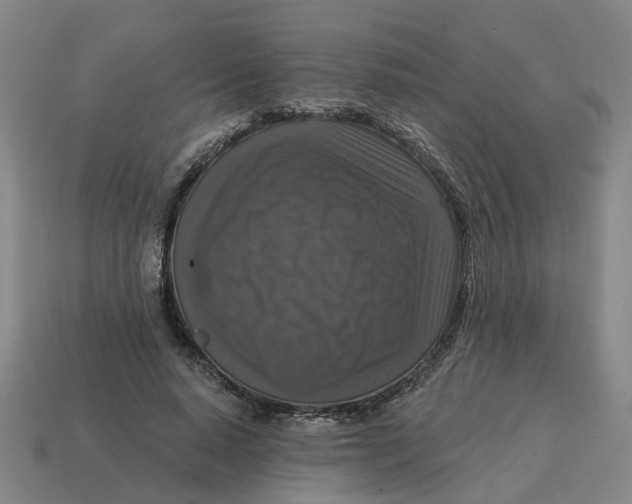 X0000114440640200911061704