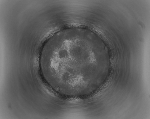 X0000114440642200911061704